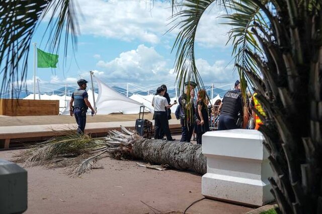 سقوط نخل در جشنواره کن | تصاویر