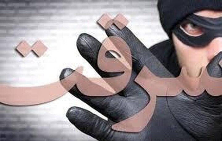 سرقت وحشیانه از یک خانم در اسلامشهر + ویدئو