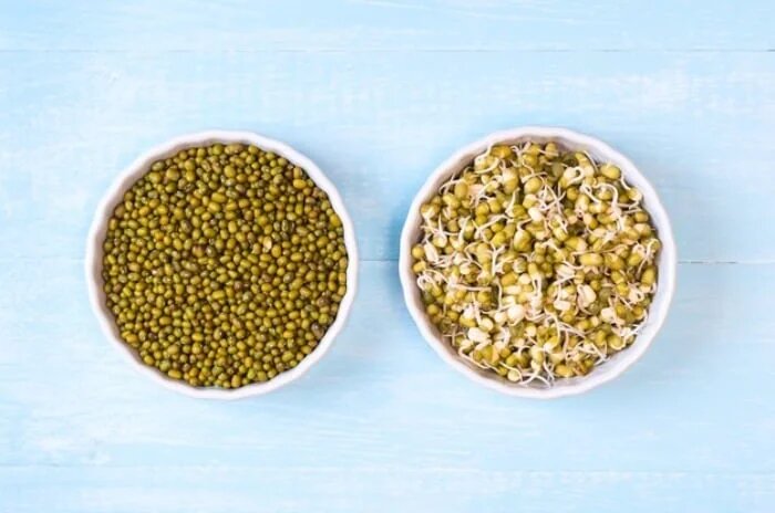 جوانه ماش برای چی خوبه ؟ ؛ طرز مصرف جوانه ماش + روش تهیه جوانه ماش