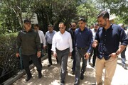 حاشیه نا ایمن بزرگراه چمران تبدیل به بوستان می شود