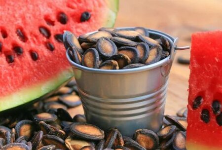 دمنوش تخم هندوانه؛ معجزه ای برای سلامتی بدن با ۸ فایده شگفت انگیز!