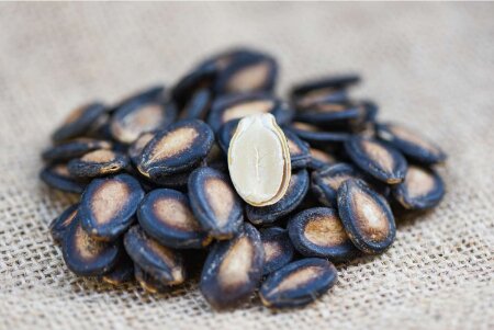 دمنوش تخم هندوانه؛ معجزه ای برای سلامتی بدن با ۸ فایده شگفت انگیز!