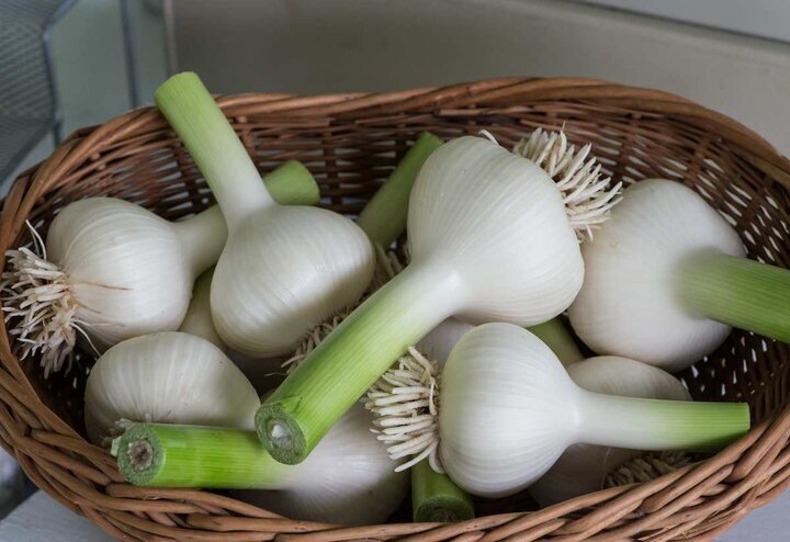 درمان سرماخوردگی در آشپزخانه شماست!