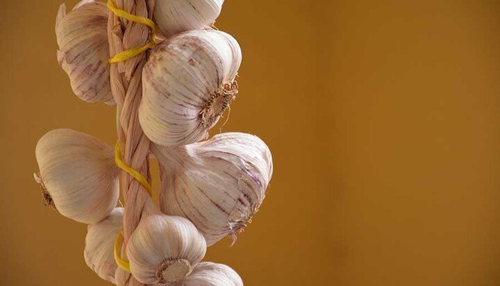 درمان سرماخوردگی در آشپزخانه شماست!