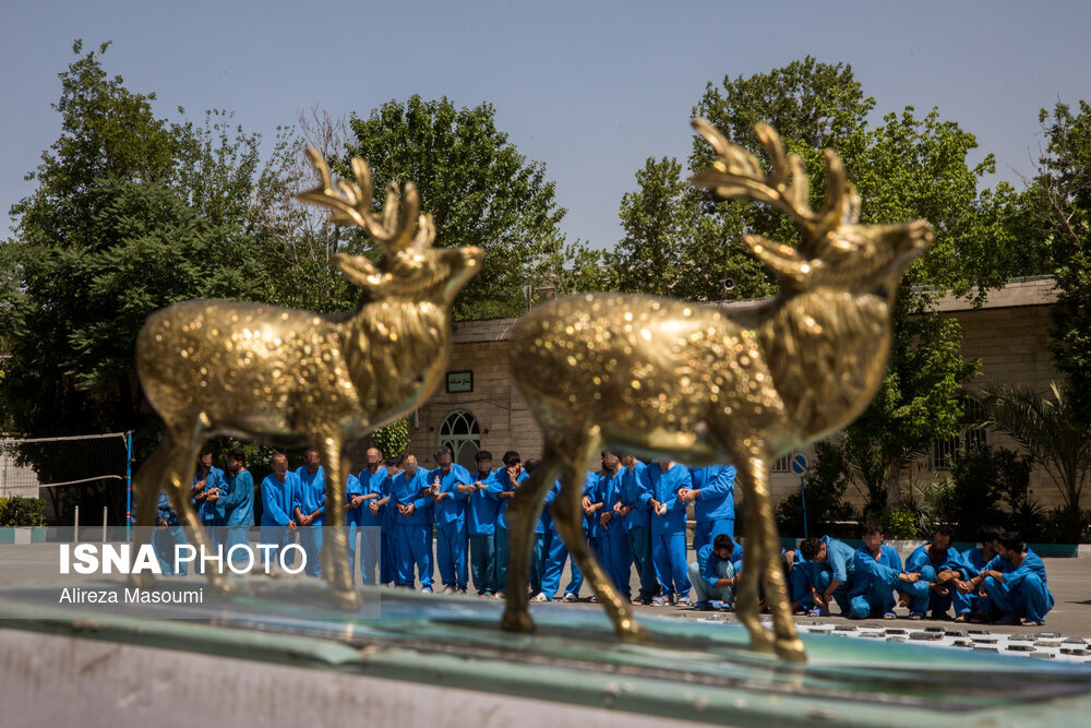 دستگیری سارقی به نام «تام» 
