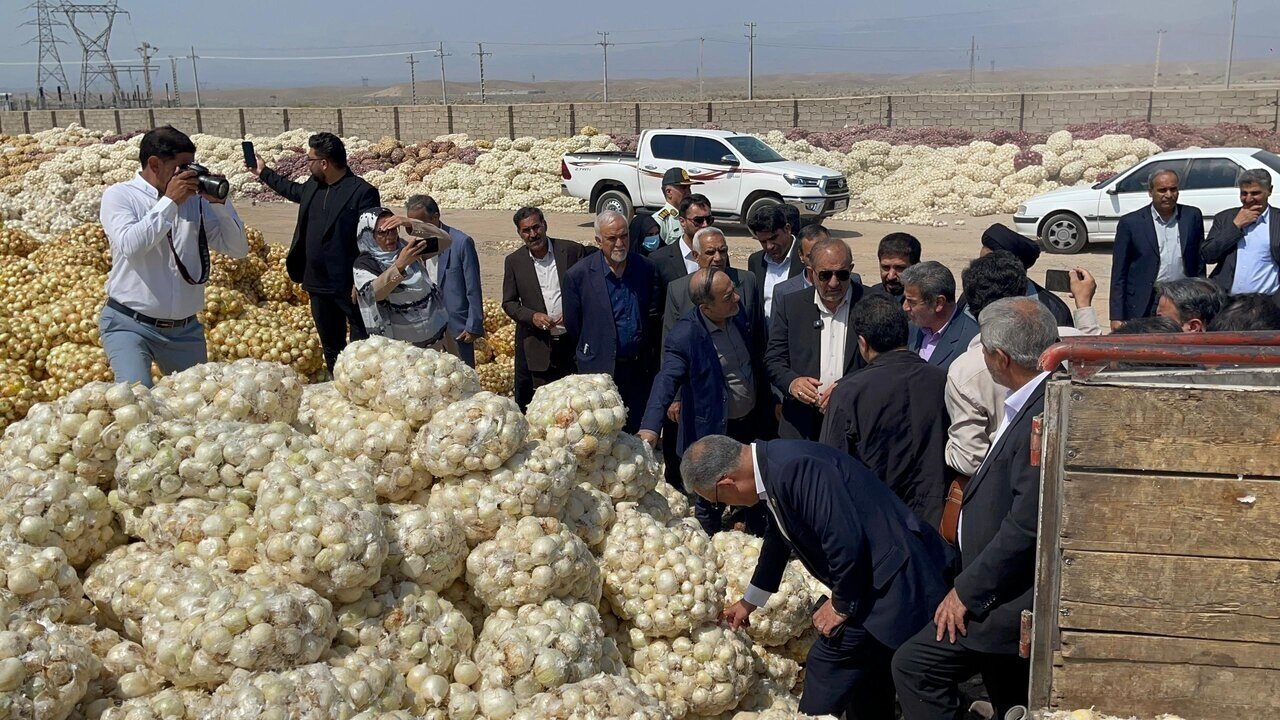 حراج عجیب صدها تن پیاز روی دست مانده کشاورزان با قیمت مفت