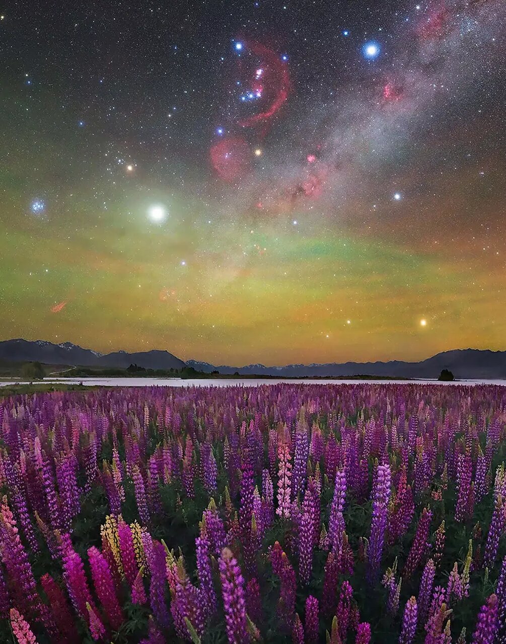 برندگان مسابقه عکاس سال کهکشان راه شیری ۲۰۲۵ | عکس