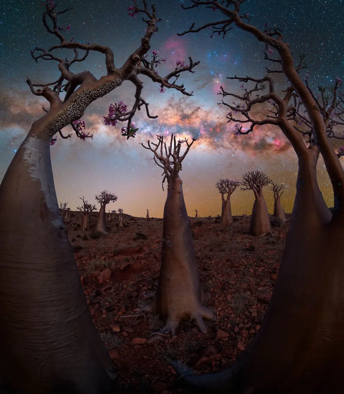 برندگان مسابقه عکاس سال کهکشان راه شیری ۲۰۲۵ | عکس