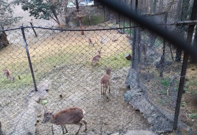 ریه سبز تهران در غرب را بیشتر بشناسید