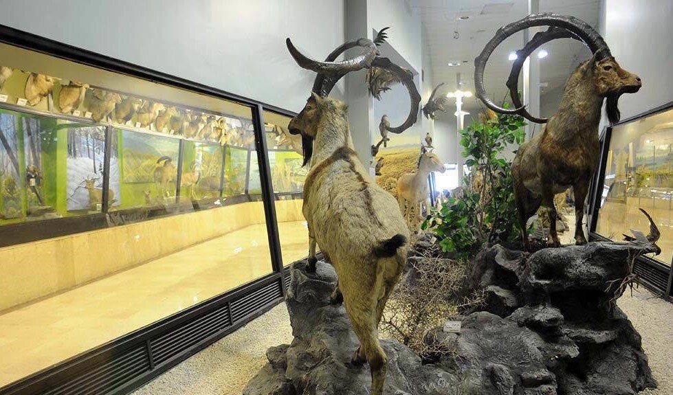 ریه سبز تهران در غرب را بیشتر بشناسید