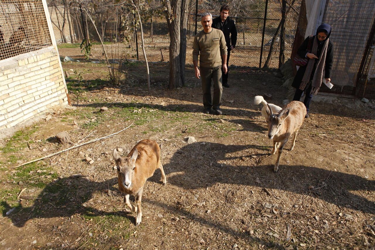ریه سبز تهران در غرب را بیشتر بشناسید