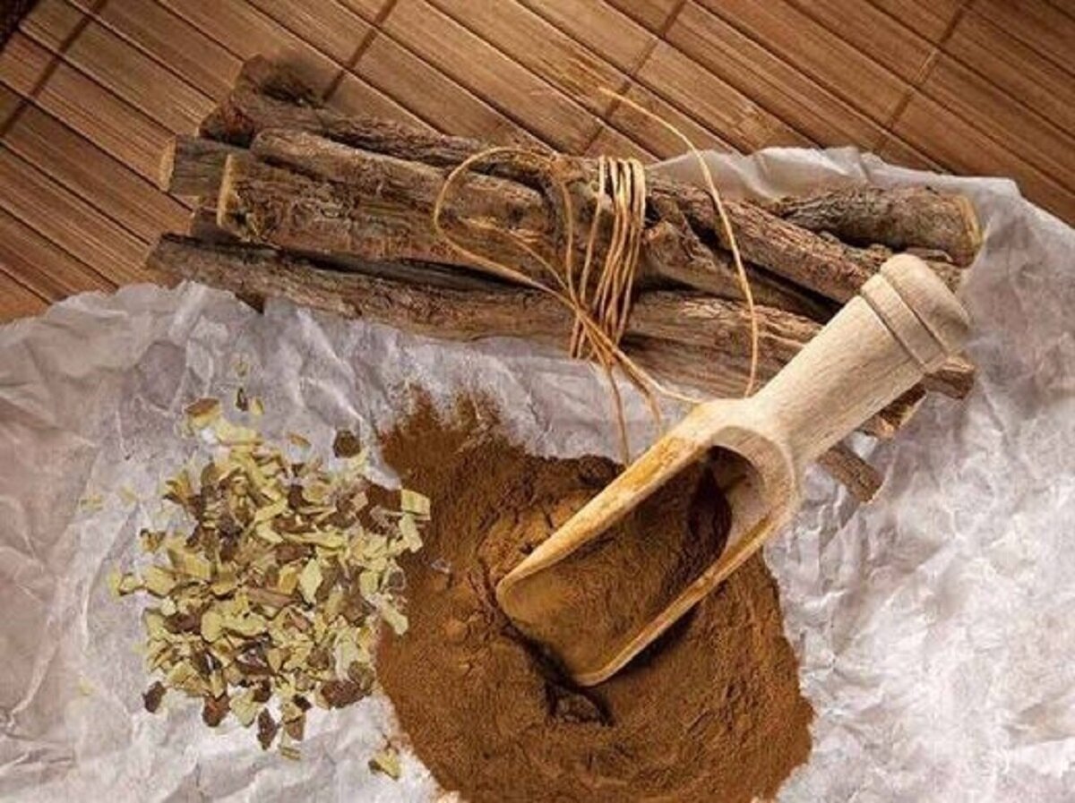 شیرین‌بیان؛ گیاهی دارویی که مصرف زیاد آن عضلات‌ را ضعیف می‌کند