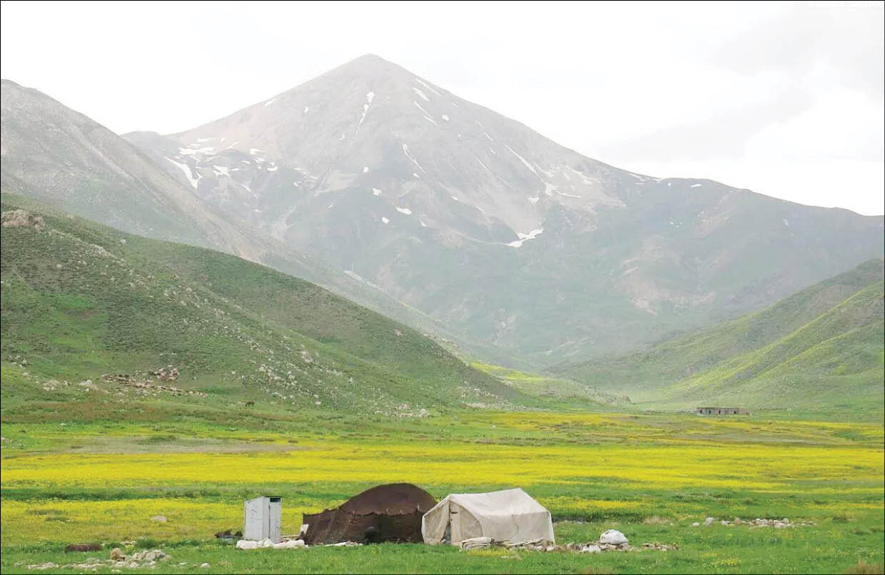 دشت سیاه پالاس