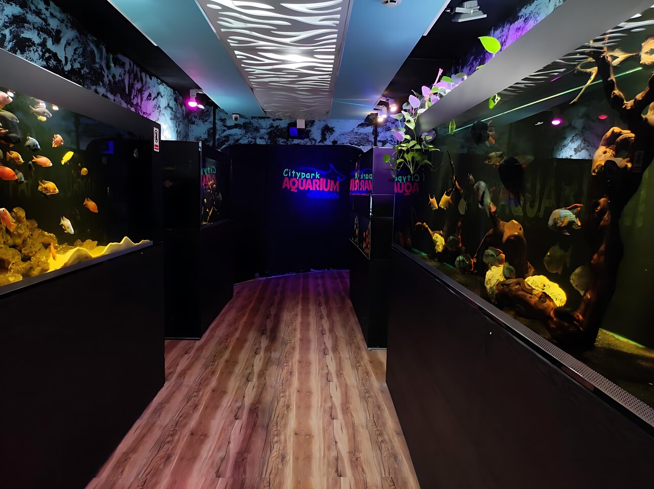 گشت و گذار در قدیمیترین بوستان شهر