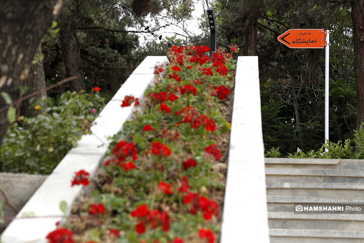 بوستان در حال ساخت ملل