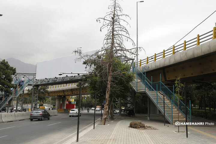 بوستان در حال ساخت ملل