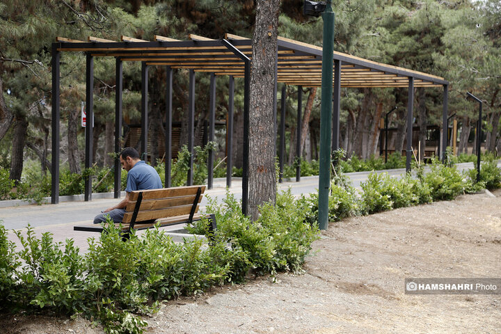 بوستان در حال ساخت ملل