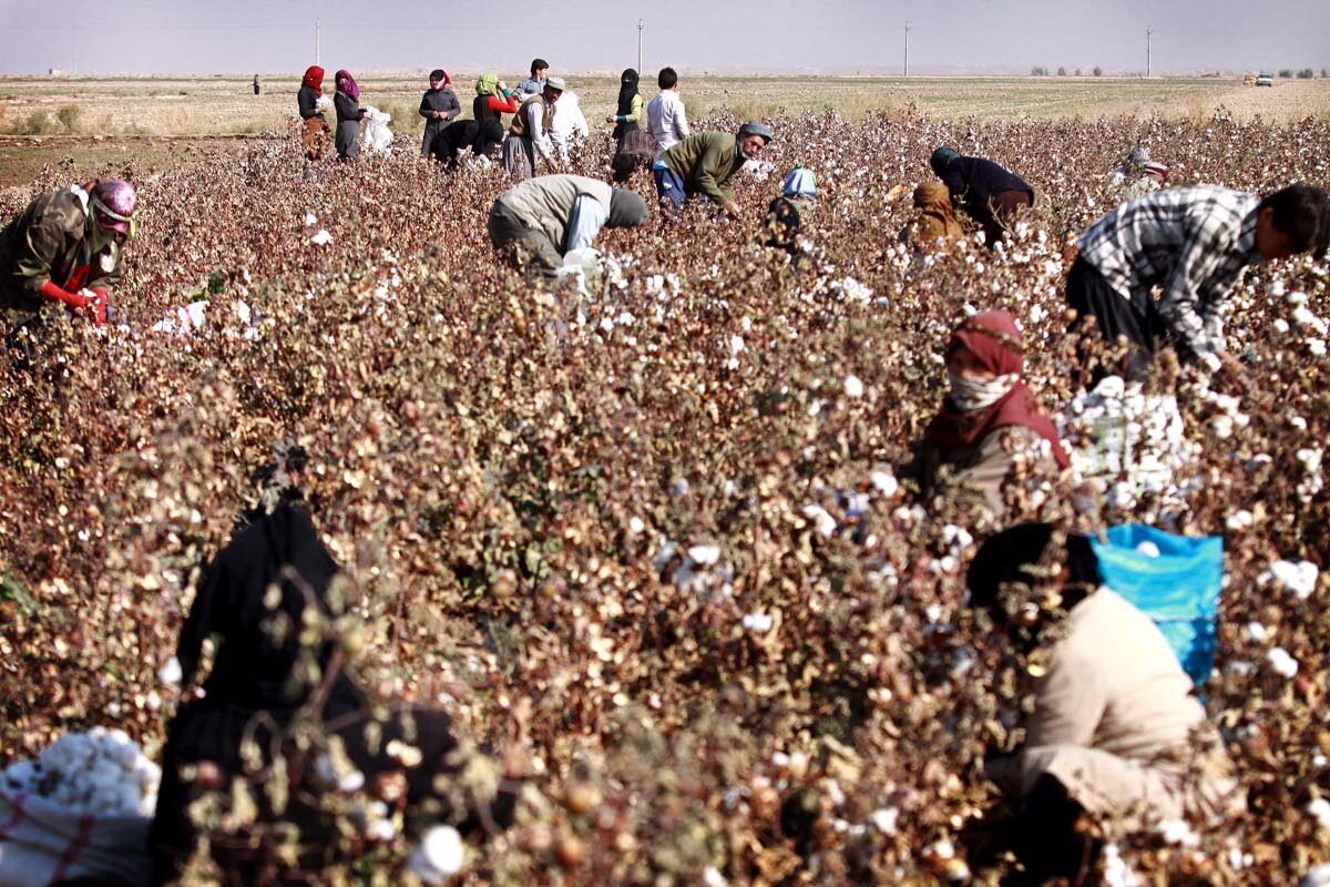 تنها محله‌ پایتخت که تابستان‌ها هم سفیدپوش می‌شد