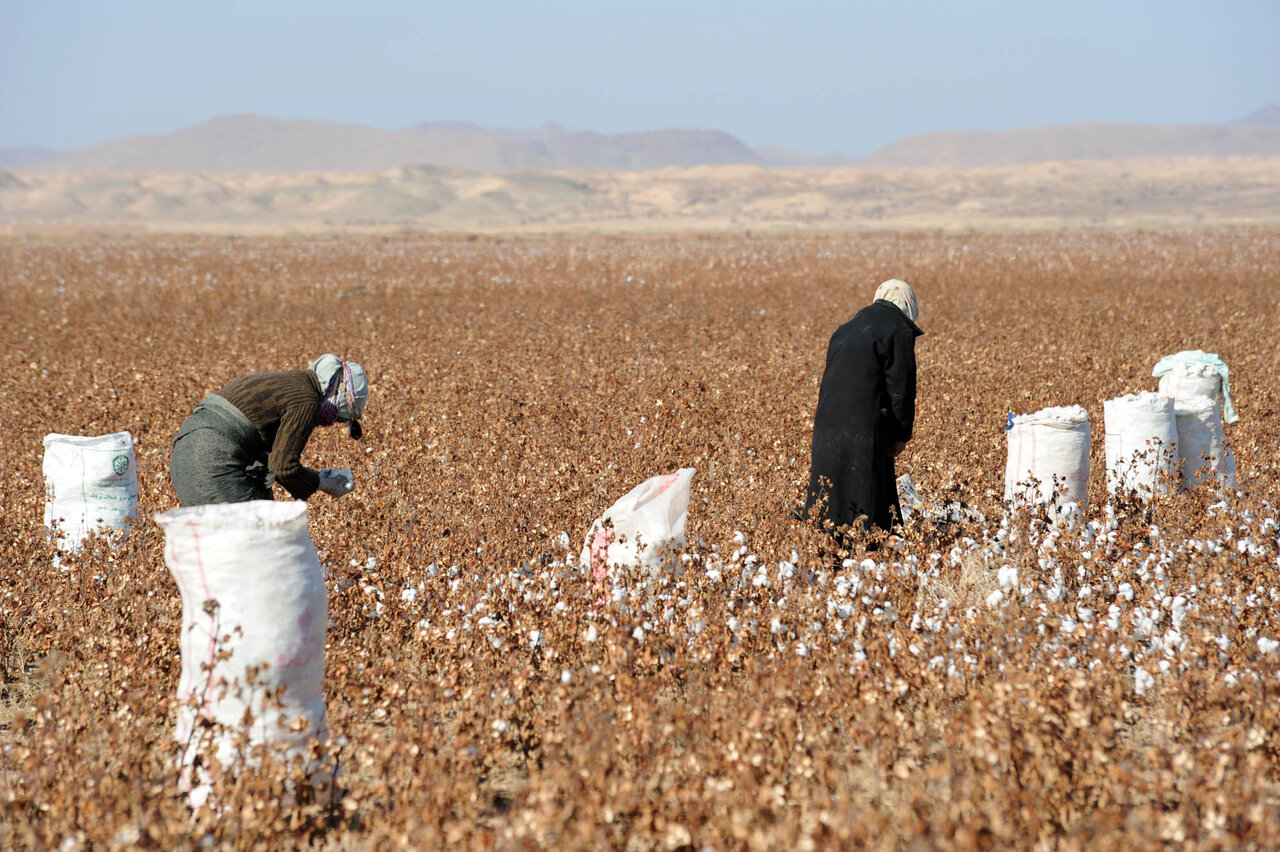 تنها محله پایتخت که تابستانها هم سفیدپوش میشد