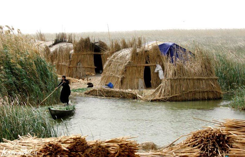 روزگار سخت تالاب نشینان | کمک ژاپنی به احیای تالاب های ایران