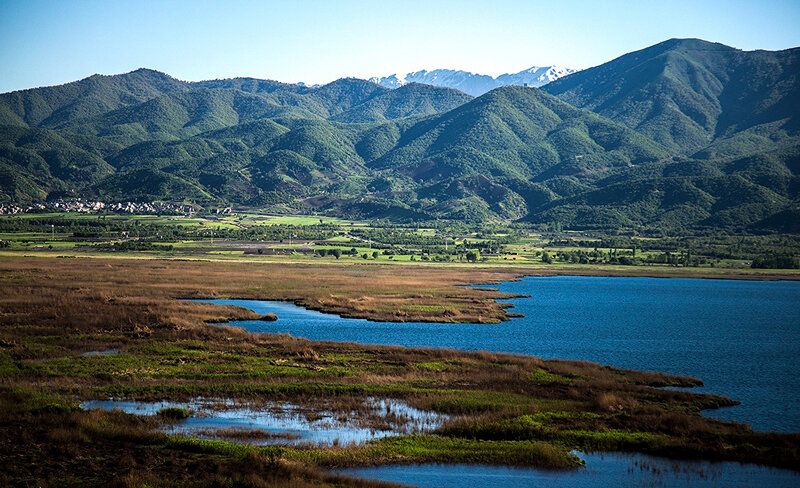 روزگار سخت تالاب نشینان | کمک ژاپنی به احیای تالاب های ایران