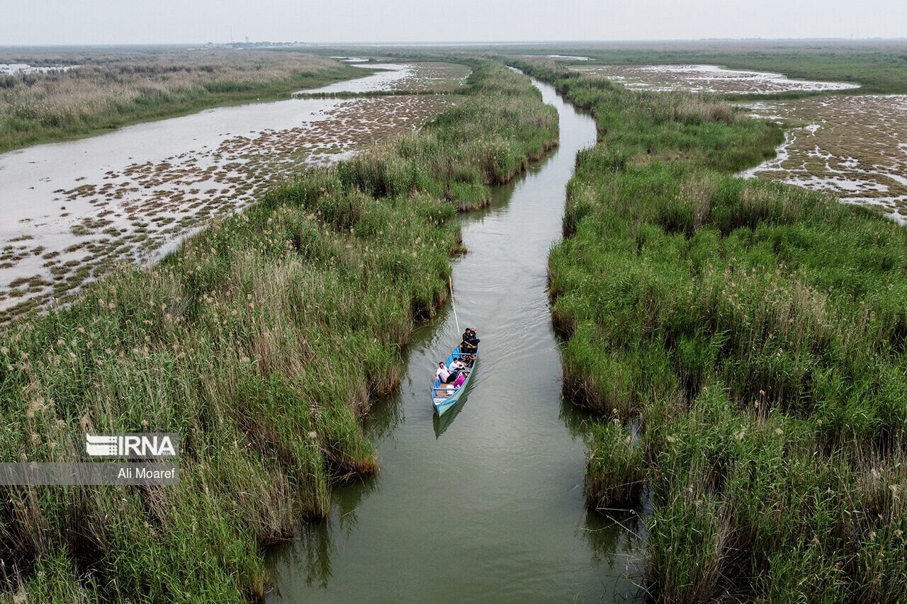 روزگار سخت تالاب نشینان | کمک ژاپنی به احیای تالاب های ایران