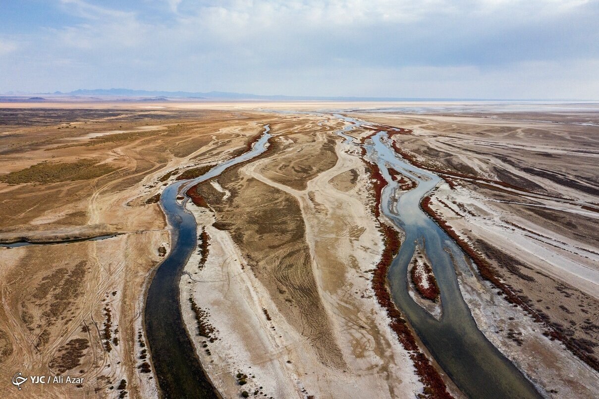 روزگار سخت تالاب نشینان | کمک ژاپنی به احیای تالاب های ایران