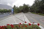 ساخت بوستان ۶ هکتاری‌در حاشیه بزرگراه+تصاویر