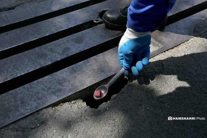 استفاده از سم جدید برای مقابله با موش ها