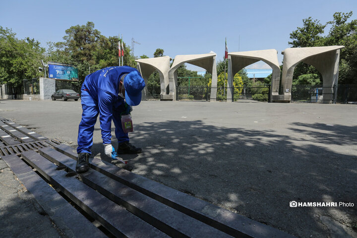 استفاده از سم جدید برای مقابله با موش ها