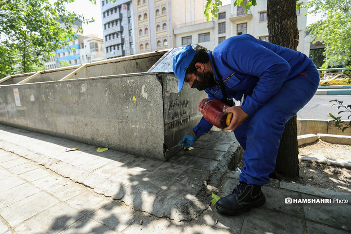 استفاده از سم جدید برای مقابله با موش ها