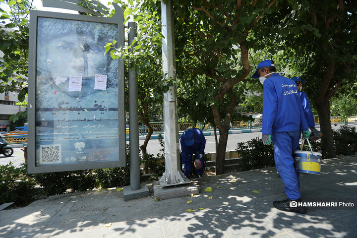 استفاده از سم جدید برای مقابله با موش ها