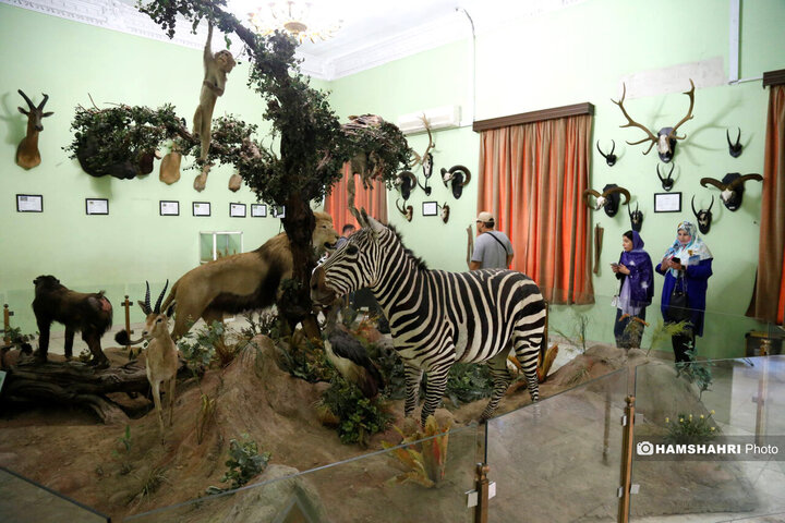 افتتاحیه سامانه موزه های ویژه نابینایان