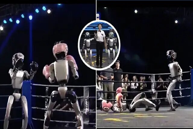 قهرمانی رباتی با کلاه بوکس سیاه | عکس