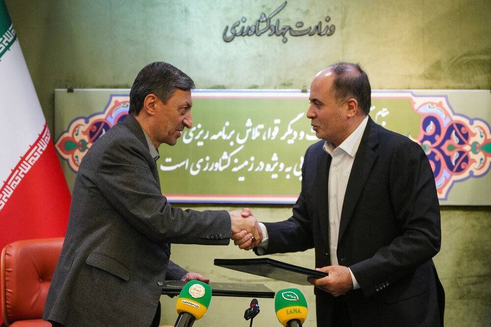 تفاهمنامه جدید برای جهش تولید برنج و گوشت!