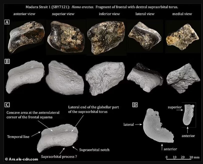 یک شهر ۱۴۰ هزار ساله در اعماق اقیانوس کشف شد | عکس