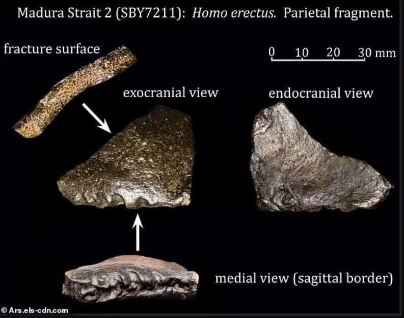 یک شهر ۱۴۰ هزار ساله در اعماق اقیانوس کشف شد | عکس
