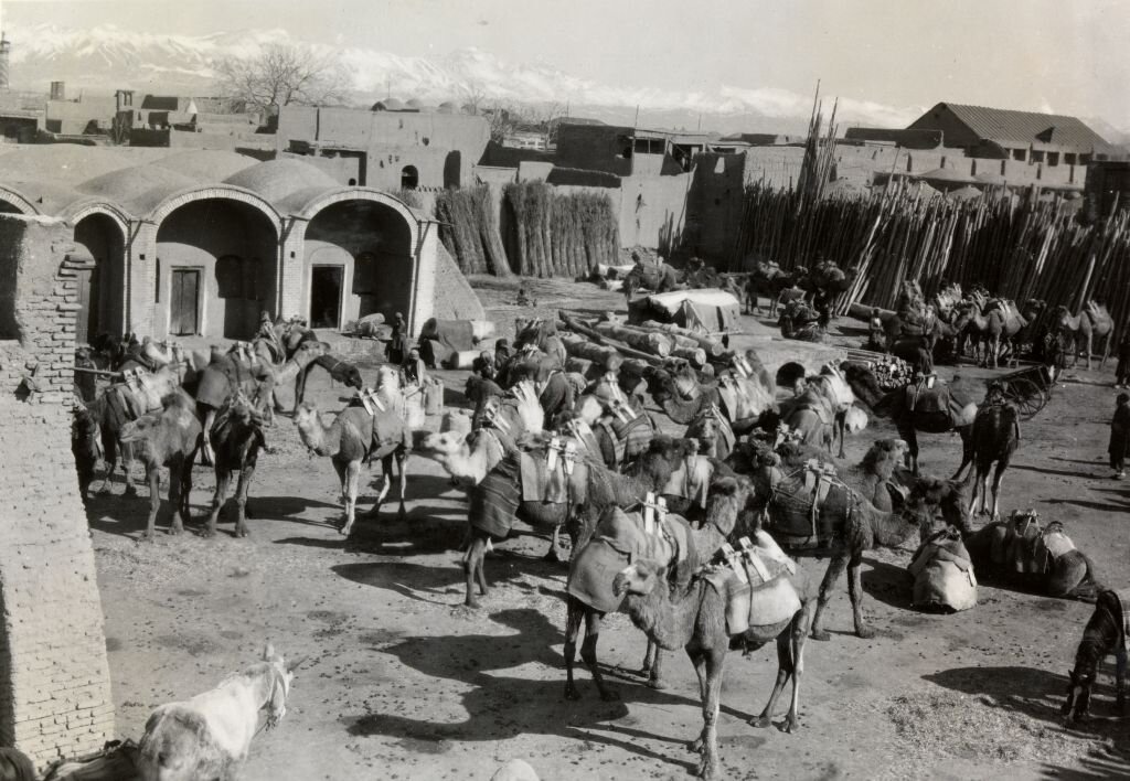 شترداران