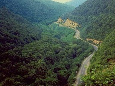 جنگل دیزمار ورزقان ؛ عروس زیبای کوههای آذربایجان