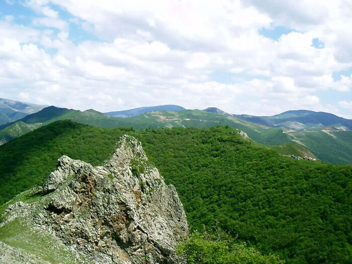 جنگل دیزمار ورزقان ؛ عروس زیبای کوههای آذربایجان