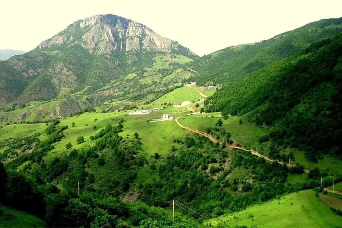 جنگل دیزمار ورزقان ؛ عروس زیبای کوههای آذربایجان - همشهری آنلاین