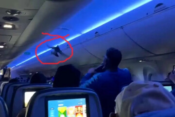 کبوترهایی که پرواز هواپیما را به تاخیر انداختند! | ویدئو