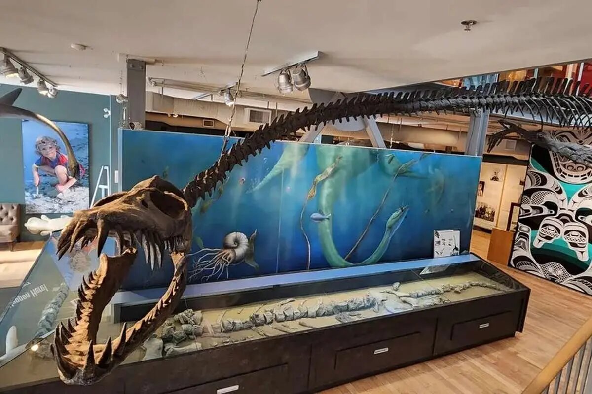 هیولای ۱۲ متری؛ شکارچی پرسهزن اعماق اقیانوس