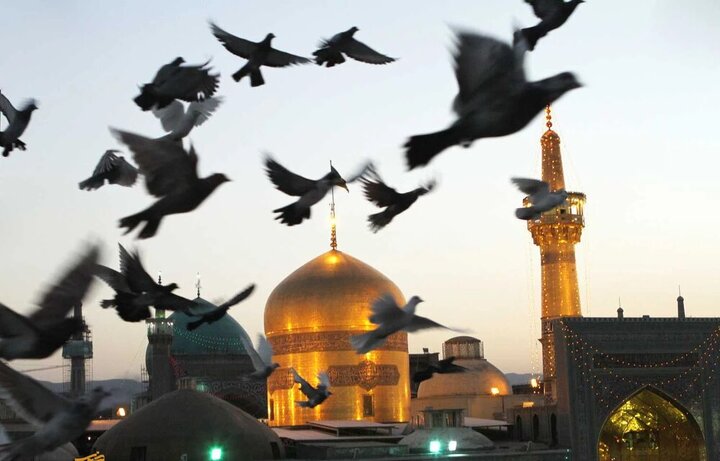 یک نفر دیگر جز امام رضا (ع) در حرم ضریح دارد + ویدئو | او کسی نیست جز .....