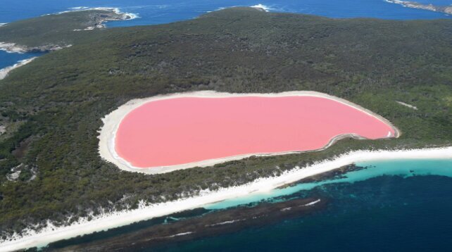 معماهایی در طبیعت که هنوز حل نشدهاند؛ رازهای شنیدنی، نورهای مرموز و دریاچههای صورتی | عکس