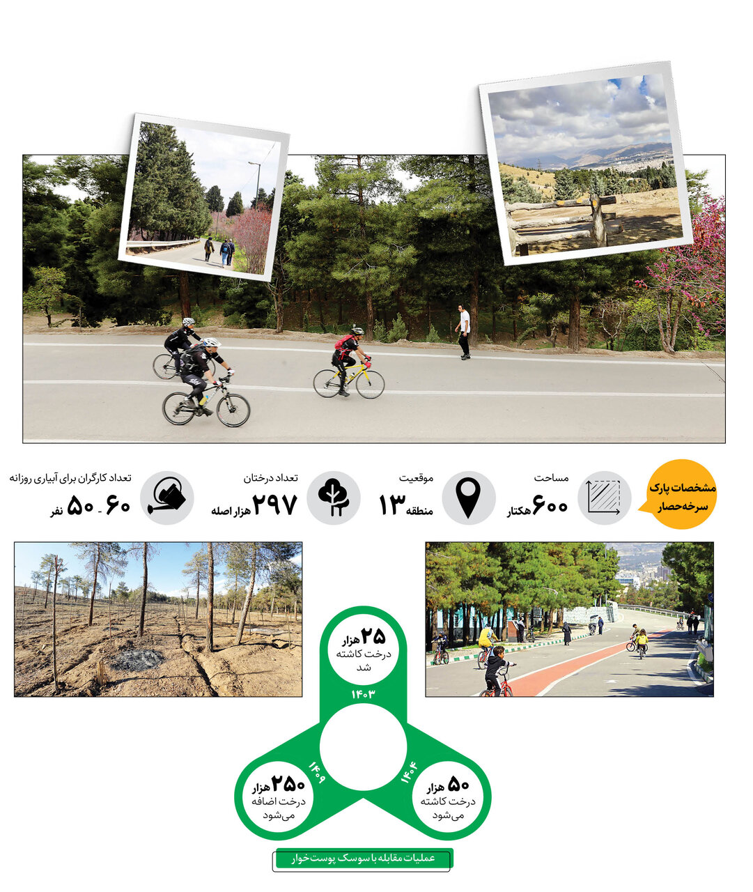 حفاظت از نگین سبز شرق