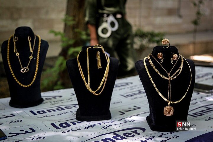 سارقان حرفه اي