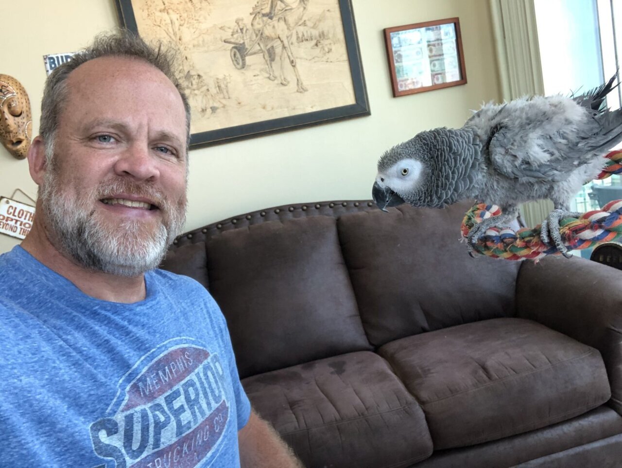 آیا طوطیها مفاهیم انسانی را درک میکنند؟