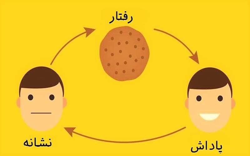 چگونه در زندگی عادتهای مثبت ایجاد کنیم