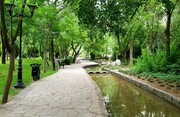 تولد یک راس مرال در بوستان ملت